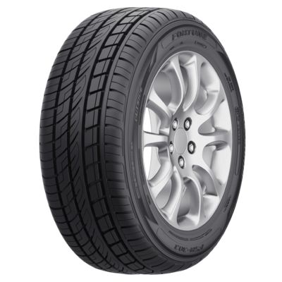 255/55R18 109V XL FSR-303 TL